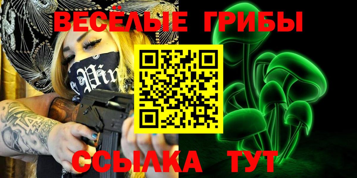 Псилоцибиновые грибы Psilocybe Асино